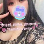 ヒメ日記 2025/04/04 17:15 投稿 のい 栃木宇都宮ちゃんこ