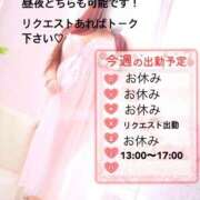 ヒメ日記 2025/04/04 22:45 投稿 のい 栃木宇都宮ちゃんこ