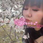 ヒメ日記 2025/04/06 22:35 投稿 のい 栃木宇都宮ちゃんこ