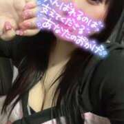 ヒメ日記 2025/04/12 14:35 投稿 のい 栃木宇都宮ちゃんこ