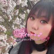 ヒメ日記 2025/04/16 15:05 投稿 のい 栃木宇都宮ちゃんこ