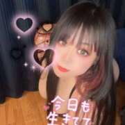 ヒメ日記 2025/04/27 20:45 投稿 のい 栃木宇都宮ちゃんこ