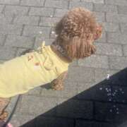 ヒメ日記 2025/05/12 22:15 投稿 のい 栃木宇都宮ちゃんこ