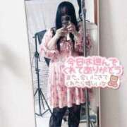 ヒメ日記 2025/06/12 01:55 投稿 のい 栃木宇都宮ちゃんこ