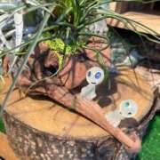 ヒメ日記 2025/06/14 12:45 投稿 のい 栃木宇都宮ちゃんこ