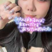 ヒメ日記 2025/06/26 21:35 投稿 のい 栃木宇都宮ちゃんこ