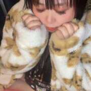 ヒメ日記 2025/07/01 03:15 投稿 のい 栃木宇都宮ちゃんこ