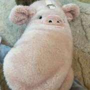 ヒメ日記 2025/07/02 16:05 投稿 のい 栃木宇都宮ちゃんこ