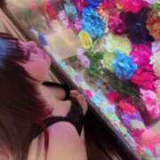 ヒメ日記 2025/07/04 22:25 投稿 のい 栃木宇都宮ちゃんこ