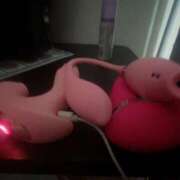 ヒメ日記 2025/07/30 17:15 投稿 のい 栃木宇都宮ちゃんこ