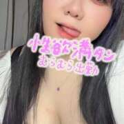 ヒメ日記 2025/08/05 20:05 投稿 のい 栃木宇都宮ちゃんこ