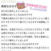 ヒメ日記 2025/08/26 11:35 投稿 のい 栃木宇都宮ちゃんこ