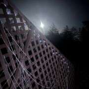 ヒメ日記 2025/10/02 10:15 投稿 のい 栃木宇都宮ちゃんこ