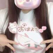 ヒメ日記 2025/10/05 12:15 投稿 のい 栃木宇都宮ちゃんこ