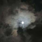 ヒメ日記 2025/10/06 20:05 投稿 のい 栃木宇都宮ちゃんこ