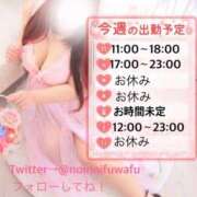 ヒメ日記 2025/10/11 19:55 投稿 のい 栃木宇都宮ちゃんこ