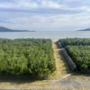 ヒメ日記 2025/11/04 00:35 投稿 のい 栃木宇都宮ちゃんこ