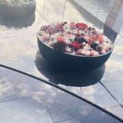 ヒメ日記 2025/11/08 13:55 投稿 のい 栃木宇都宮ちゃんこ