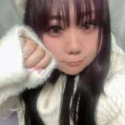 ヒメ日記 2025/11/28 21:45 投稿 のい 栃木宇都宮ちゃんこ