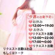 ヒメ日記 2025/12/01 16:15 投稿 のい 栃木宇都宮ちゃんこ