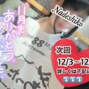 ヒメ日記 2023/11/30 12:10 投稿 なでしこ アネックスジャパン