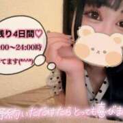 ヒメ日記 2024/06/13 12:12 投稿 なでしこ アネックスジャパン