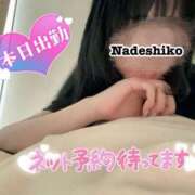 ヒメ日記 2024/12/11 06:59 投稿 なでしこ アネックスジャパン