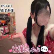 ヒメ日記 2024/12/15 11:59 投稿 なでしこ アネックスジャパン