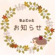 ヒメ日記 2025/02/10 18:29 投稿 なでしこ アネックスジャパン
