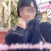 ヒメ日記 2025/03/13 11:49 投稿 なでしこ アネックスジャパン