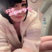 ヒメ日記 2025/04/02 23:49 投稿 なでしこ アネックスジャパン