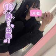 ヒメ日記 2025/05/10 11:19 投稿 なでしこ アネックスジャパン