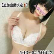 ヒメ日記 2025/05/12 11:09 投稿 なでしこ アネックスジャパン