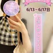 ヒメ日記 2025/06/11 17:09 投稿 なでしこ アネックスジャパン