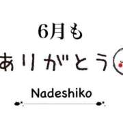 ヒメ日記 2025/06/18 10:09 投稿 なでしこ アネックスジャパン