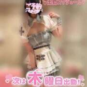 ヒメ日記 2025/07/08 12:49 投稿 なでしこ アネックスジャパン