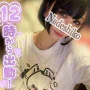 ヒメ日記 2025/07/16 11:09 投稿 なでしこ アネックスジャパン