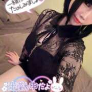 ヒメ日記 2025/07/17 12:59 投稿 なでしこ アネックスジャパン