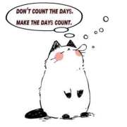 ヒメ日記 2025/07/19 09:59 投稿 なでしこ アネックスジャパン