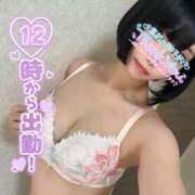 ヒメ日記 2025/07/24 10:59 投稿 なでしこ アネックスジャパン