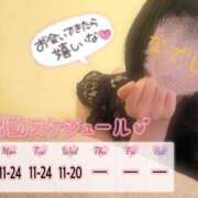 ヒメ日記 2025/07/27 11:19 投稿 なでしこ アネックスジャパン