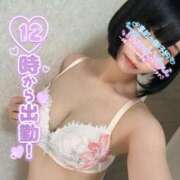 ヒメ日記 2025/10/25 11:59 投稿 なでしこ アネックスジャパン