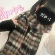 なでしこ ( ˶˙ᵕ˙˶ )☀️ アネックスジャパン