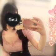 なでしこ ｲﾁﾆﾁﾊﾔｲｹﾄﾞ(⁎ᴗ͈ˬᴗ͈⁎) アネックスジャパン