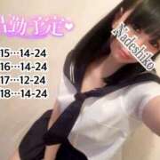 ヒメ日記 2026/05/14 17:10 投稿 なでしこ アネックスジャパン