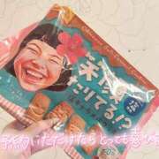 ヒメ日記 2026/09/09 11:59 投稿 なでしこ アネックスジャパン