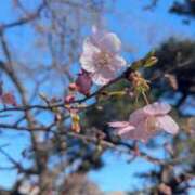 ヒメ日記 2025/02/26 08:33 投稿 千歳(ちとせ) 相模原人妻城