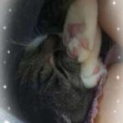 ヒメ日記 2025/04/04 06:33 投稿 千歳(ちとせ) 相模原人妻城