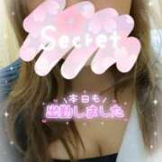 ヒメ日記 2025/04/08 20:48 投稿 千歳(ちとせ) 相模原人妻城