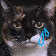 ヒメ日記 2025/04/18 13:48 投稿 千歳(ちとせ) 相模原人妻城